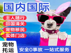 百色机场邮寄国际宠物托运 【国